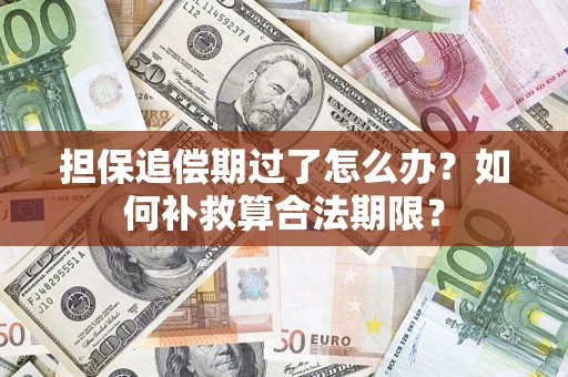 济南担保追偿期过了怎么办？如何补救算合法期限？