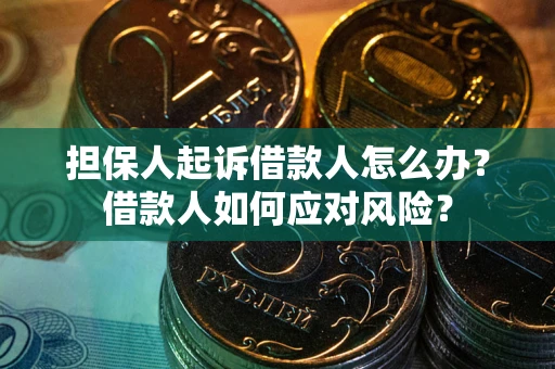 济南担保人起诉借款人怎么办？借款人如何应对风险？